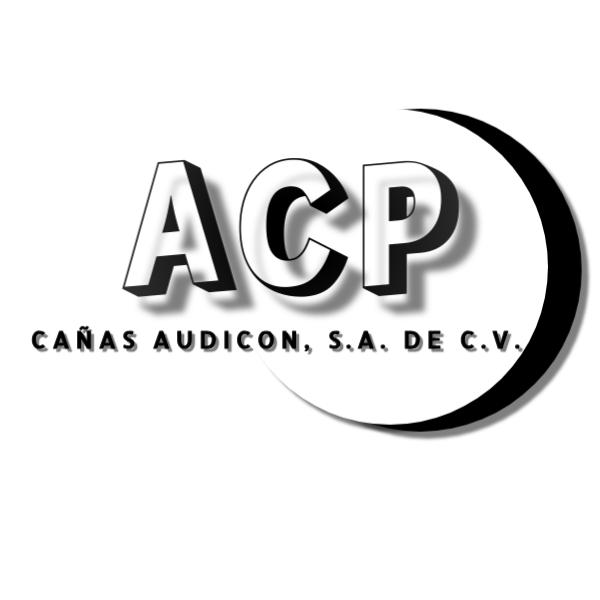 CAÑAS Auditores y Consultores Logo